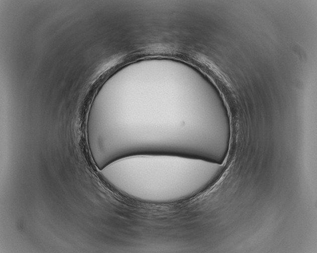 X0000113151213200909040925