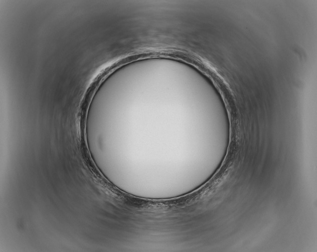 X0000113151214200909040925