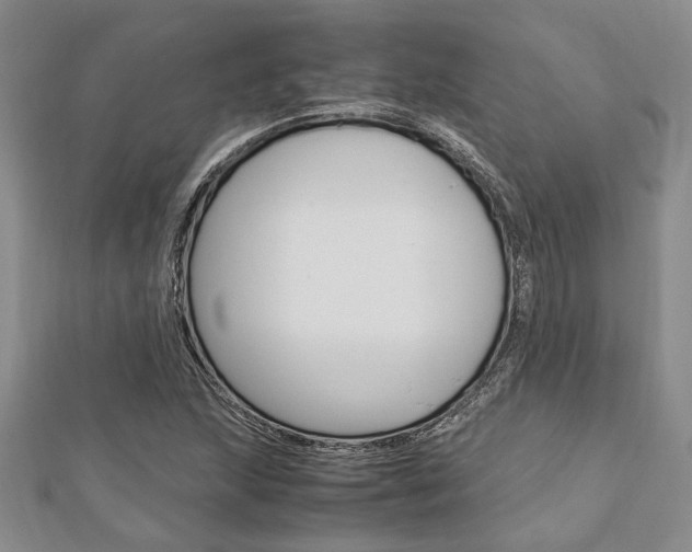 X0000113151215200909040925