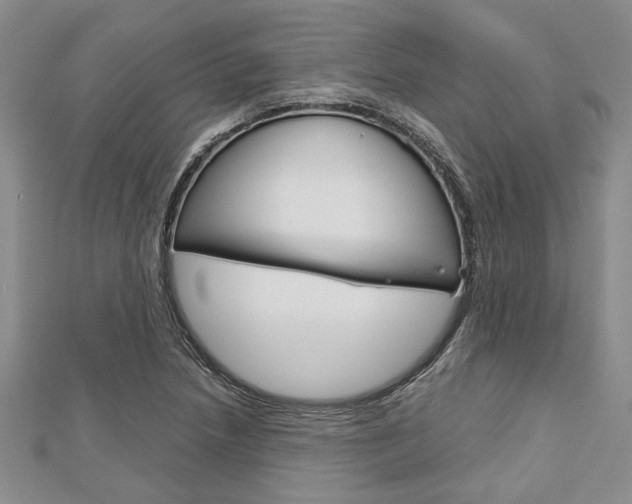 X0000113151218200909040925