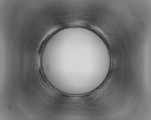 X0000113151219200909040925