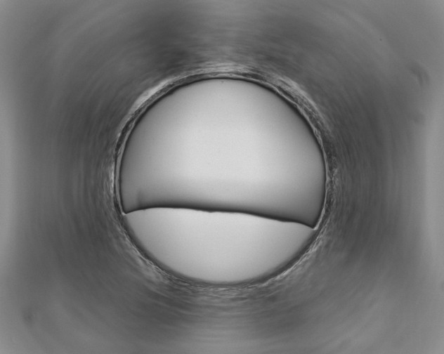 X0000113151220200909040925