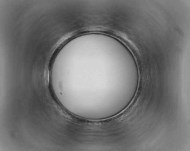 X0000113151221200909040925