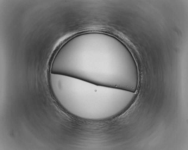 X0000113151222200909040925