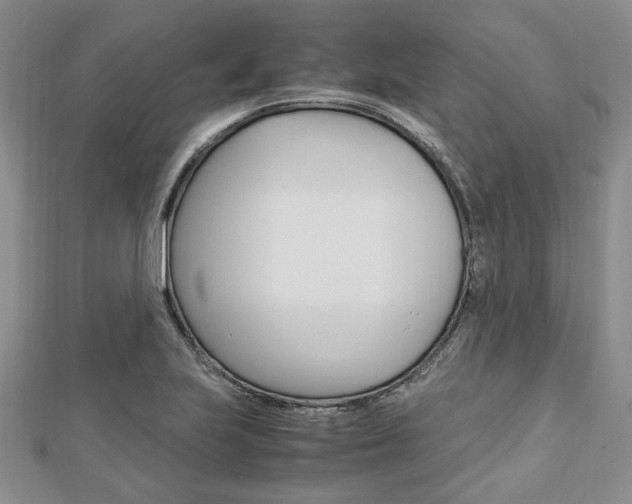 X0000113151223200909040925