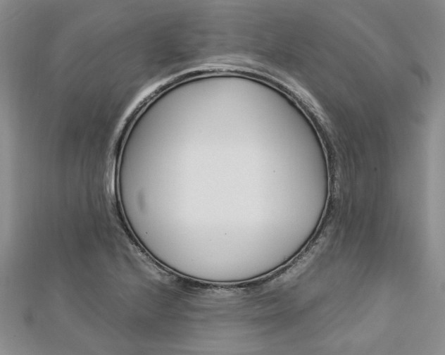 X0000113151224200909040925