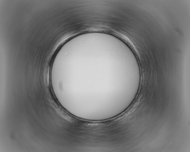 X0000113151227200909040925
