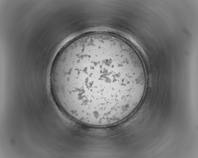 X0000113151229200909040925