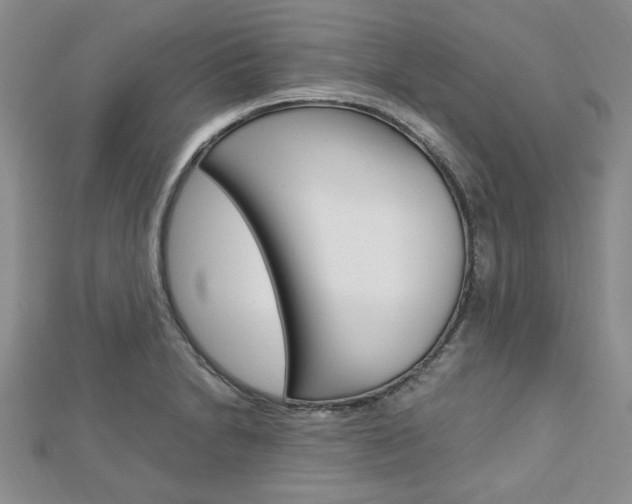 X0000113151230200909040925