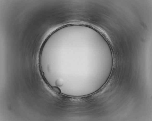 X0000113151231200909040925