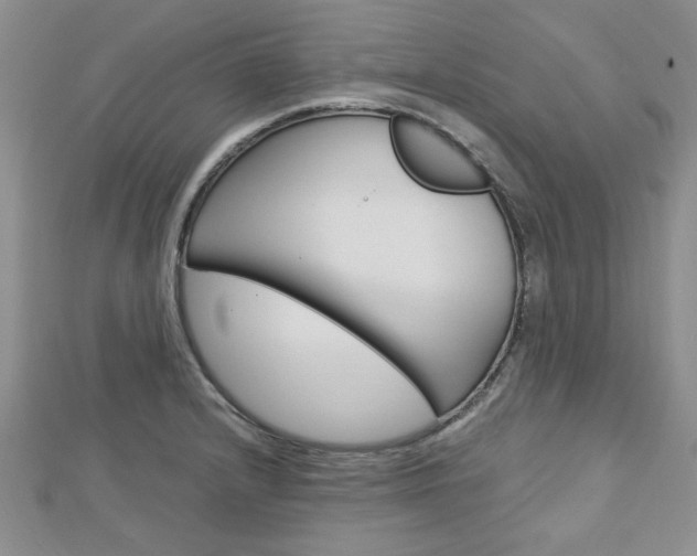 X0000113151232200909040925
