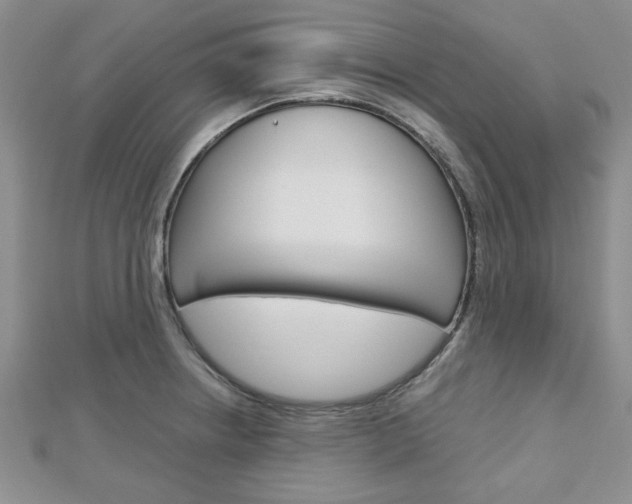 X0000113151234200909040925