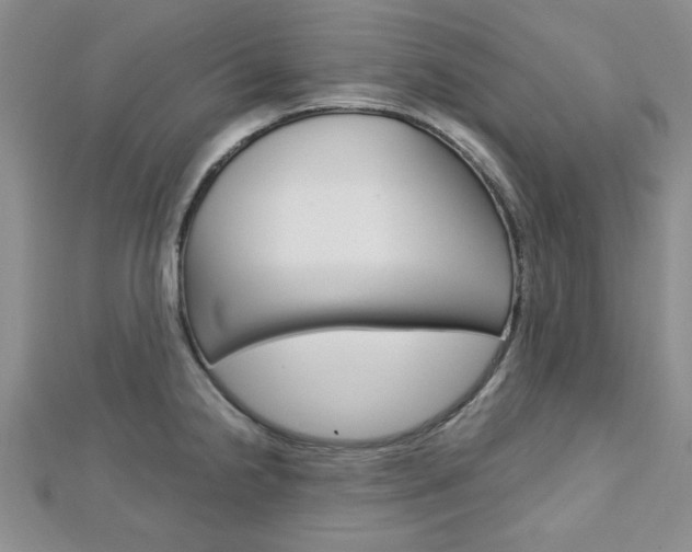 X0000113151238200909040925