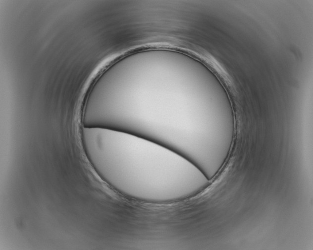 X0000113151240200909040925