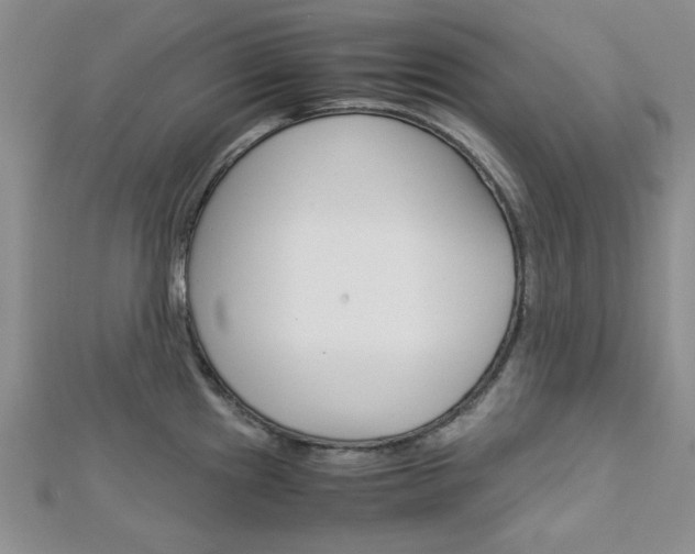X0000113151241200909040925