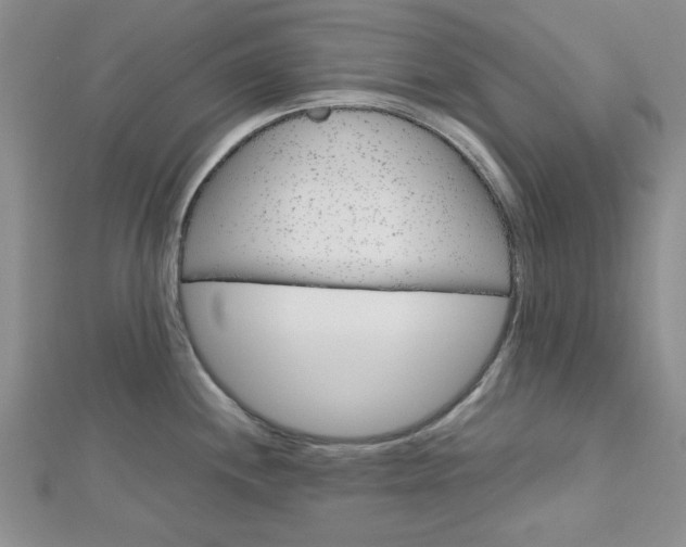 X0000113151244200909040925