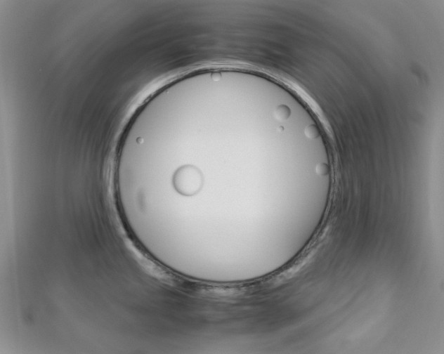 X0000113151245200909040925