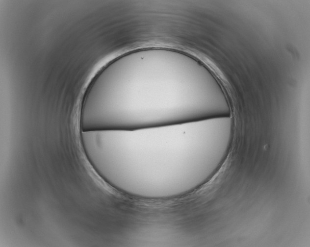 X0000113151246200909040925