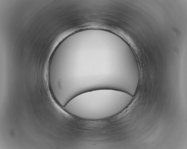 X0000113151247200909040925