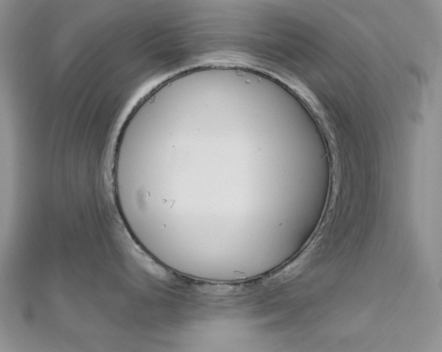 X0000113151248200909040925