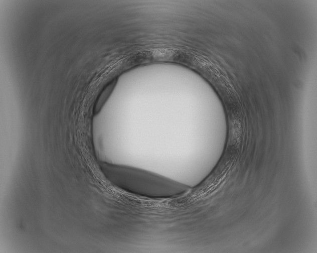 X0000113151249200909040925