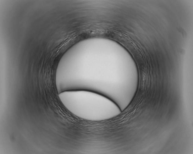 X0000113151250200909040925
