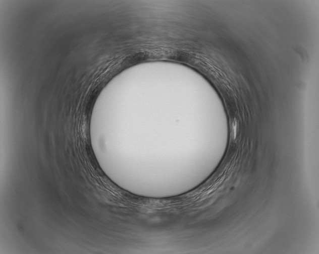 X0000113151251200909040925