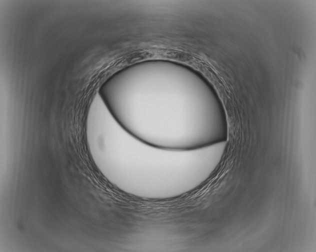 X0000113151253200909040925