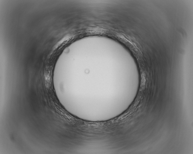 X0000113151254200909040925