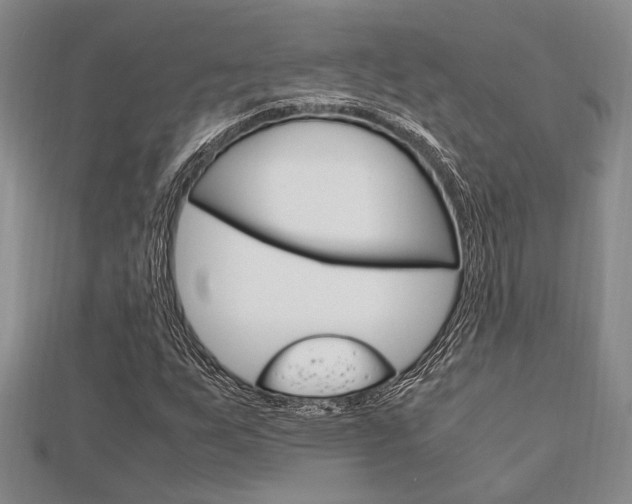 X0000113151255200909040925