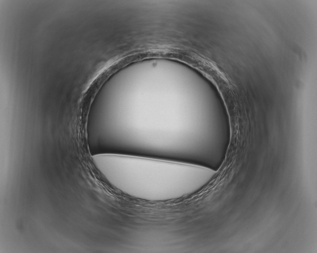 X0000113151256200909040925
