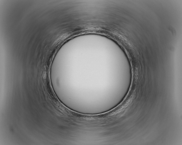 X0000113151257200909040925