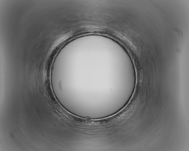 X0000113151261200909040925