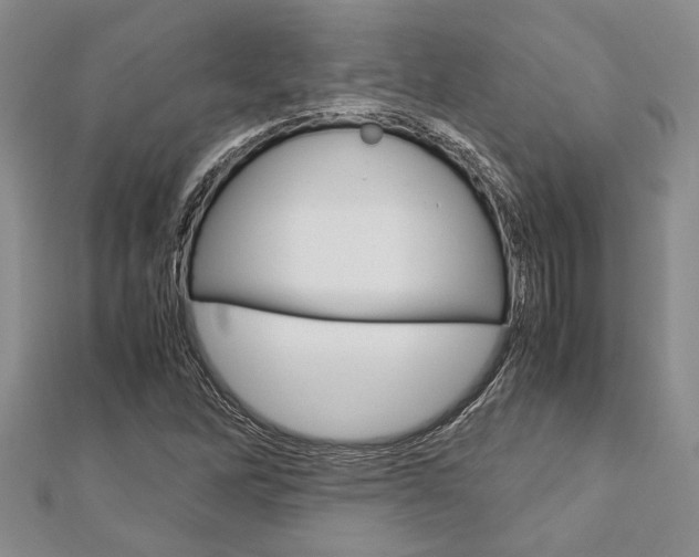 X0000113151262200909040925