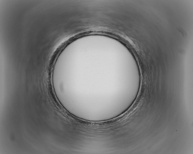 X0000113151263200909040925