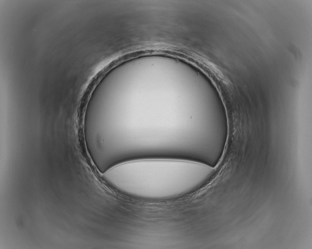 X0000113151264200909040925
