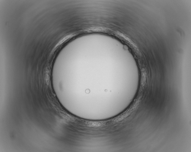 X0000113151266200909040925