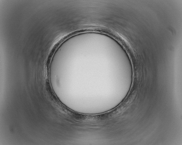 X0000113151267200909040925