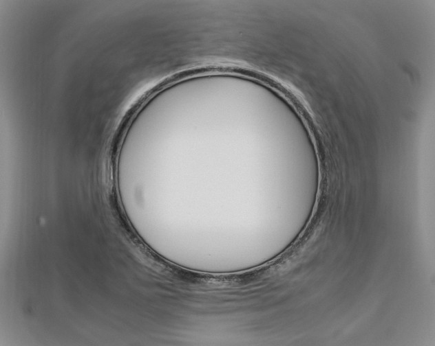 X0000113151271200909040925