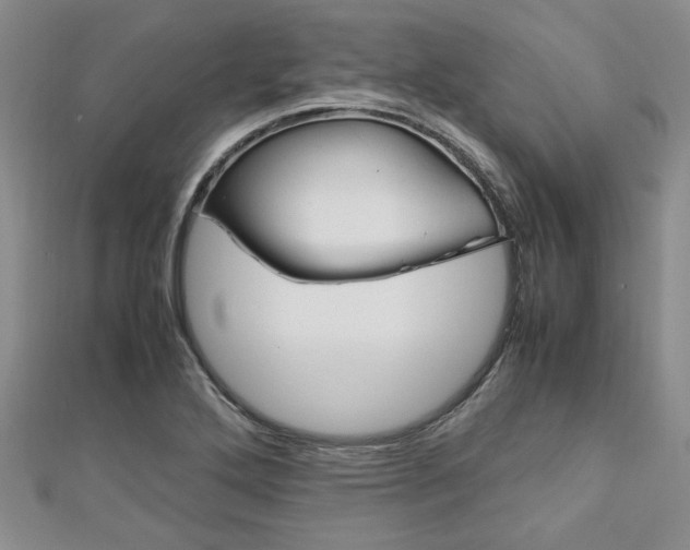 X0000113151272200909040925