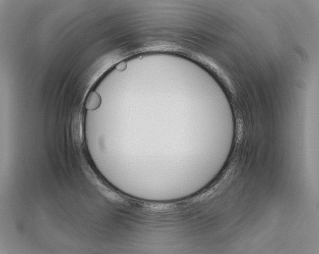 X0000113151274200909040925
