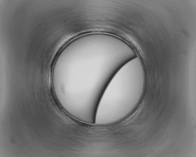 X0000113151275200909040924