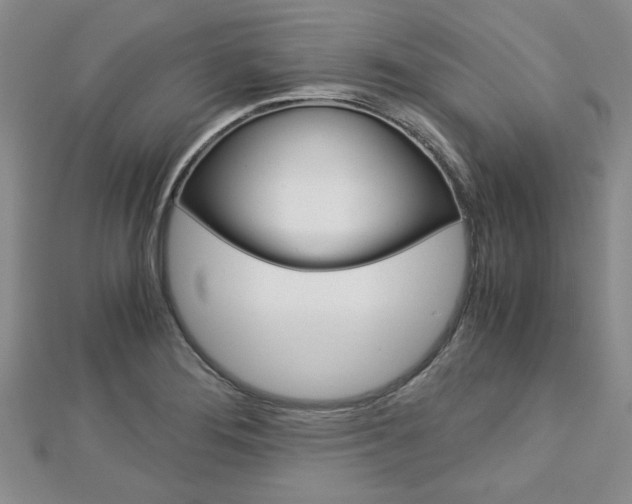 X0000113151276200909040924