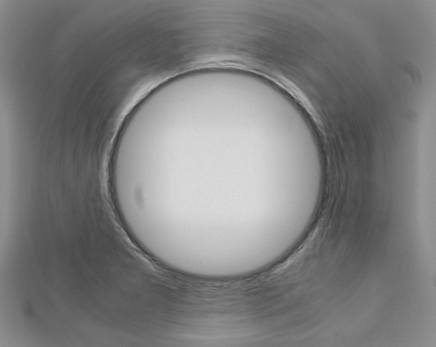 X0000113151277200909040924