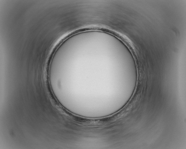X0000113151279200909040924