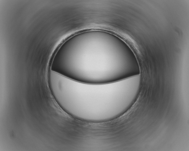 X0000113151280200909040924