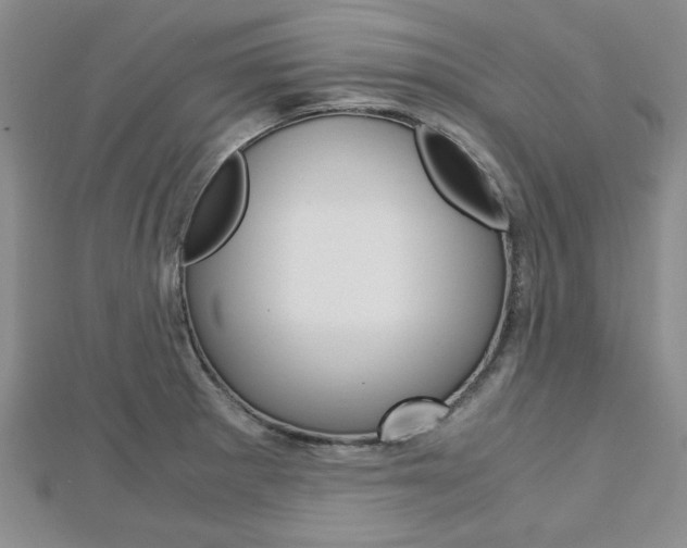 X0000113151281200909040924