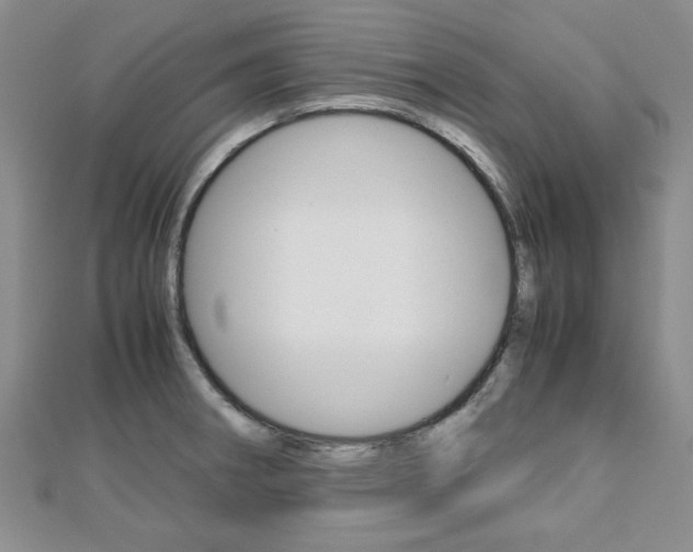 X0000113151282200909040924