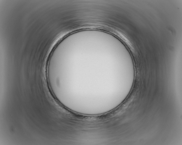 X0000113151283200909040924