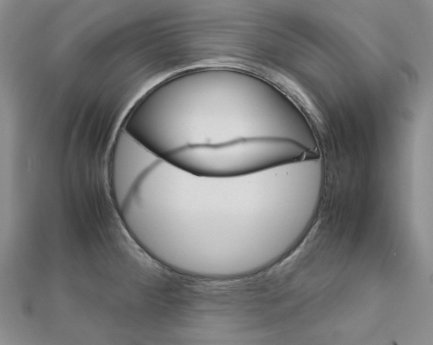X0000113151284200909040924